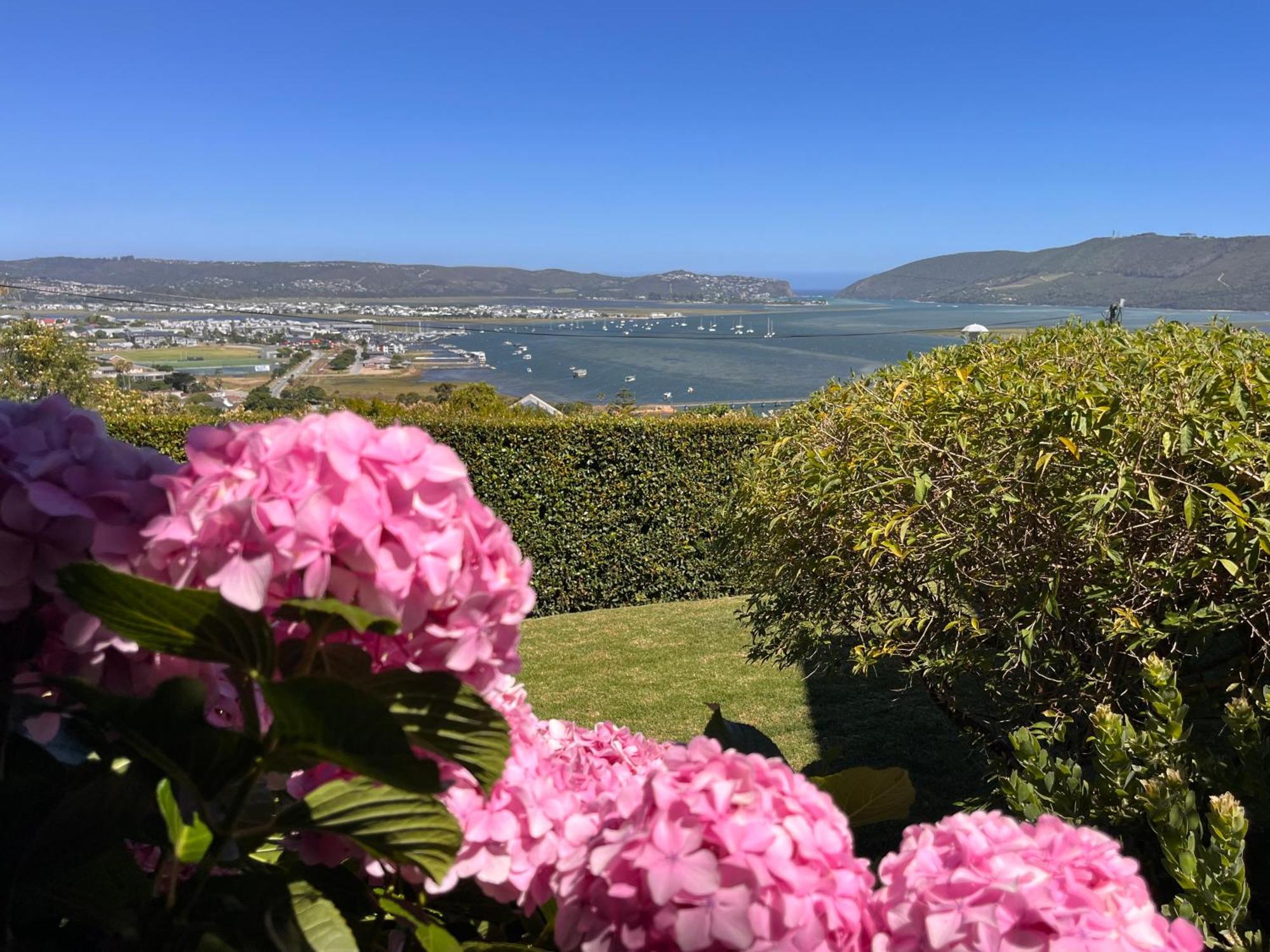 De View Bed & Breakfast Knysna Exterior photo